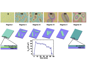 Growth Kinetics of Single Crystalline C8-BTBT Rods via Solvent Vapor Annealing