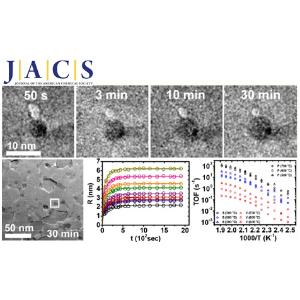 Growth Kinetics of Individual Co Particles Ex-solved on SrTi0.75Co0.25O3-δ Polycrystalline Perovskite Thin Films