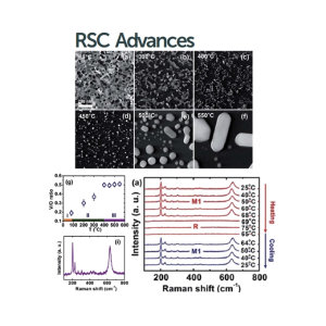 Role of annealing temperature on the sol-gel synthesis of VO2 nanowires with in situ characterization of their metal-insulator transition